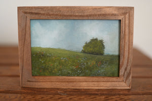 Summerscape V
