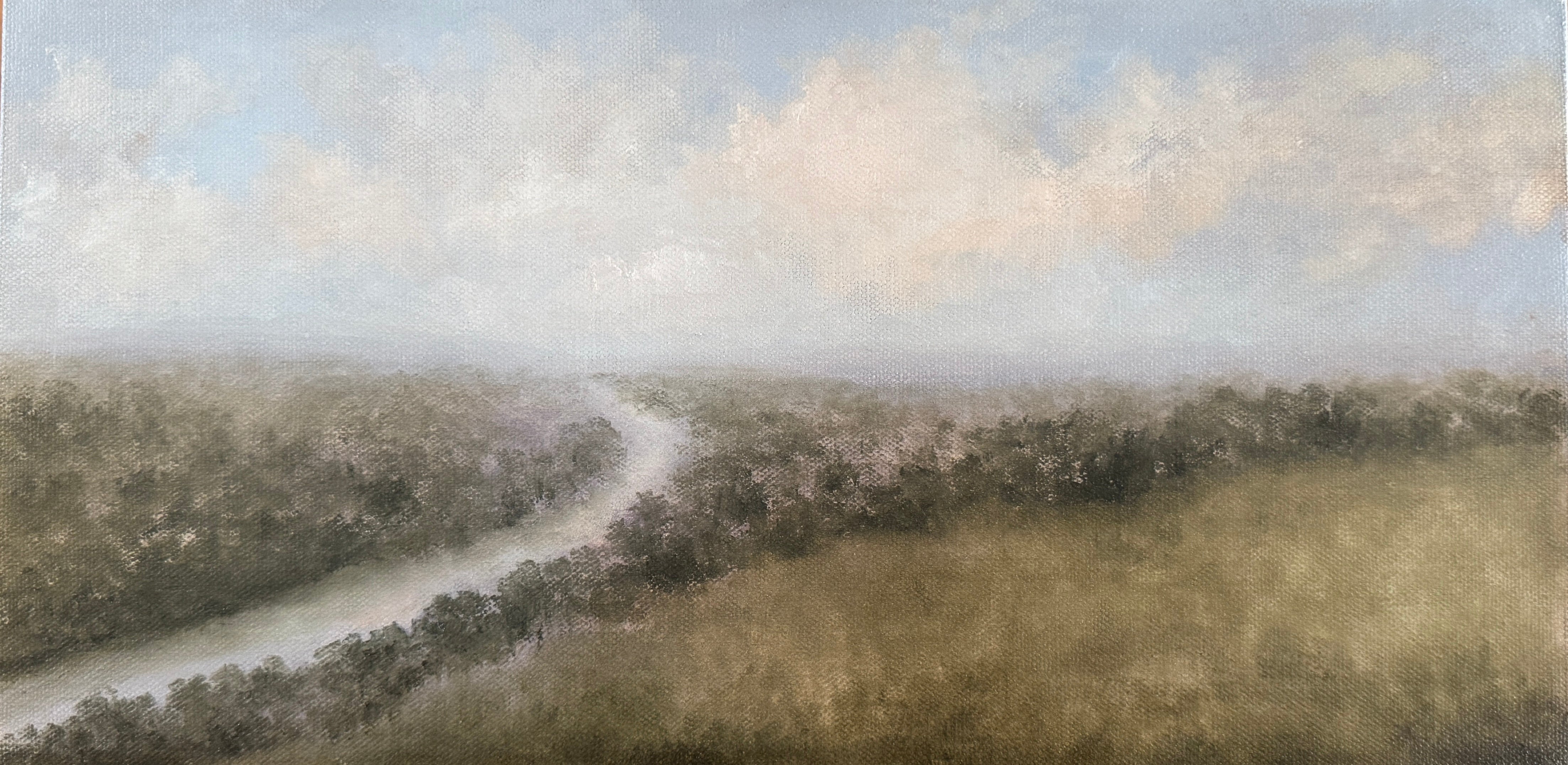 Lavender Haze